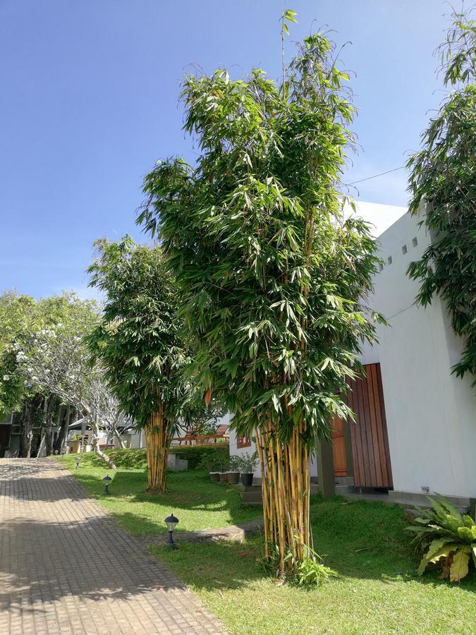 橡树酒店 基利巴斯戈达 外观 照片